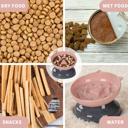Slow Feeder Cat Bowl, Ceramic Cat Slow Feeder,Elevated anti Vomiting Whisker Friendly Tilted Design,For Dry and Wet Food,Dishwasher Safe