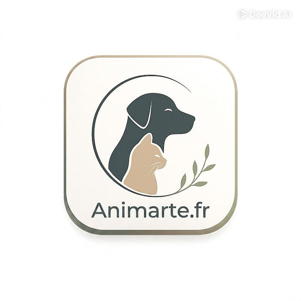 Animarte.fr